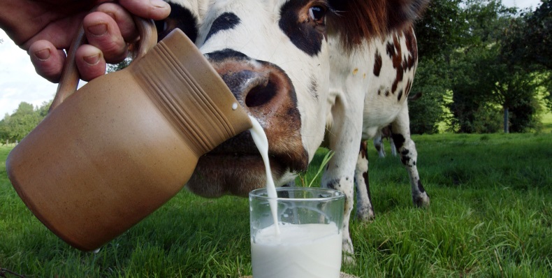 Можно ли потолстеть от молока