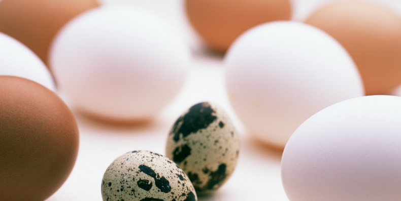 Можно ли заменить куриные яйца перепелиными