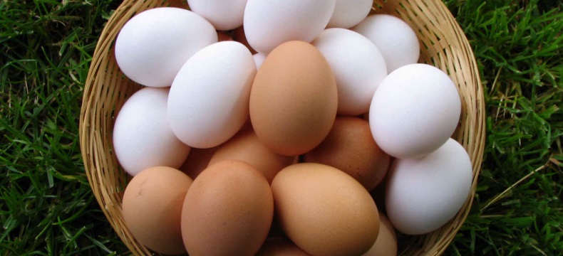 Можно ли потолстеть от яиц