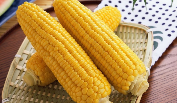 Можно ли поправиться от кукурузы